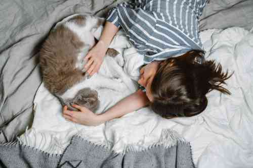 Kat voelt zich niet lekker en ligt in bed met zijn eigenaar.
