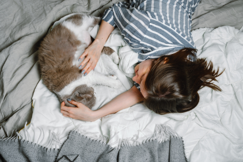 Een kat kan gaan kwijlen van knuffelen met zijn eigenaar.