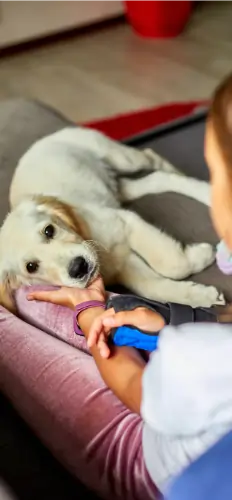 Hondenbaasje kijkt bezorgd naar haar zieke hond en besluit gebruik te maken van de online dierenkliniek Dierenkliniek Online.
