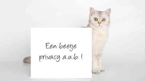 Kat zit achter een bordje waarop staat "een beetje privacy a.u.b.!" omdat hij niet graag naar de bult op zijn anus laat kijken. 