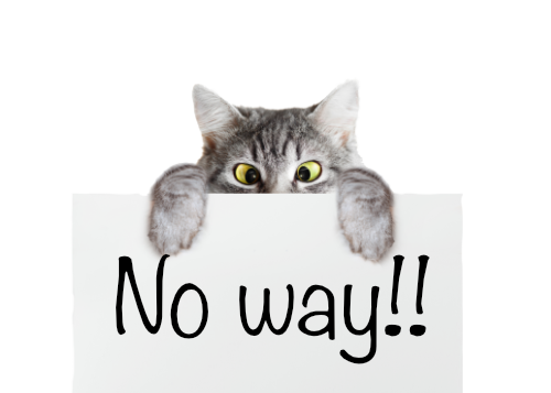 Kat houdt een bordje op met No-way!! waarmee hij aangeeft geen zin te hebben in een operatie aan de tumor aan zijn anus. 