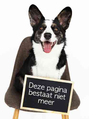Hond met een bordje voor zich waarop staat geschreven: "Deze pagina bestaat niet meer".