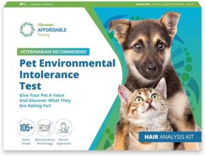 5strands environmental intolerance test