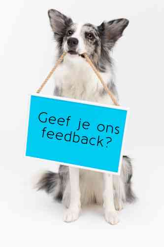 Hond houdt een bordje in zijn bek waarop staat: "Geef je ons feedback?"