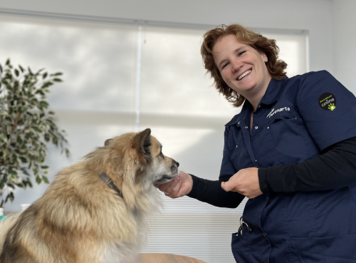 dierenarts Nanda onderzoekt een hond aan huis. 