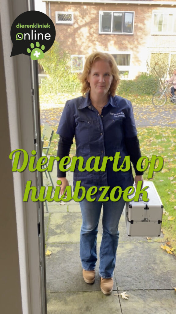Dierenarts Nanda van de Weerd tijdens een huisvisite